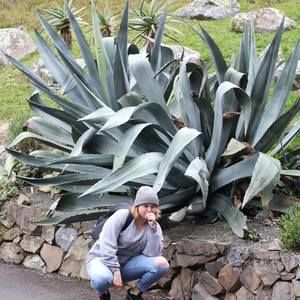 Meet your Posher, Joy